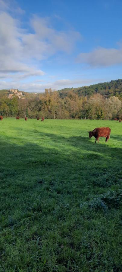 Le Cocon Beaujolais Vila Chatillon  Exterior foto